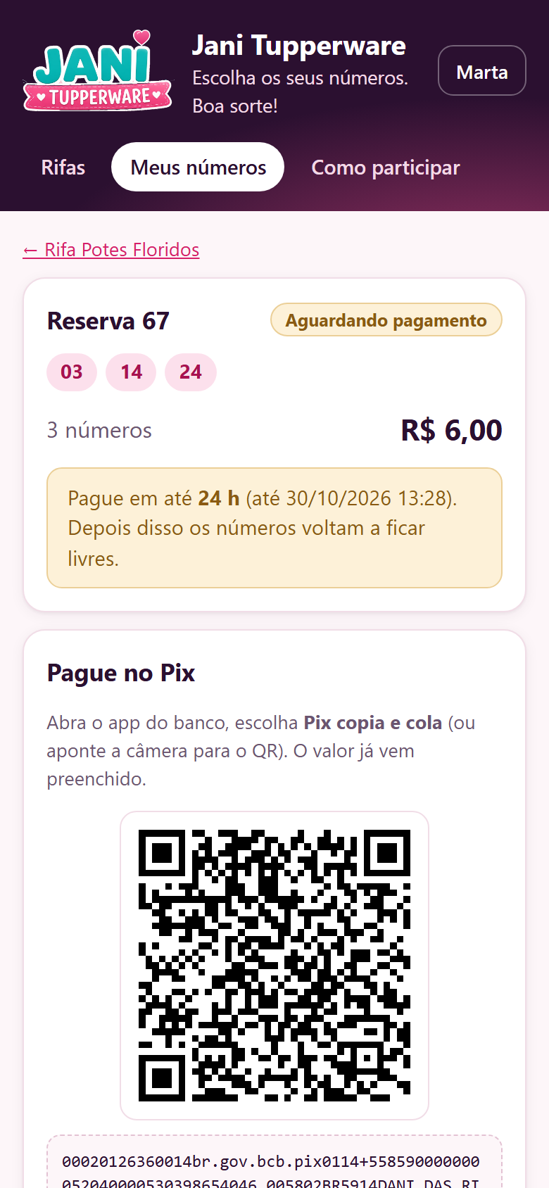 O Pix com o QR Code